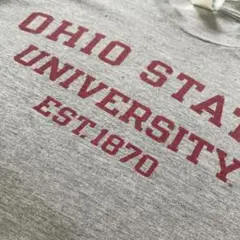 チャンピオン　Tシャツ S 目無し