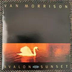 【希少・入手困難】ヴァン・モリソン「AVALON SUNSET」