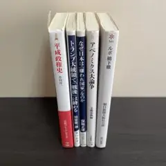 現代政治に関する新書５冊セット