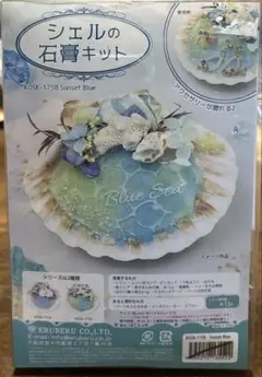 手作りシェルの石膏キット