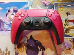 SONY　ps5コントローラー　DUALSHOCK 動作品