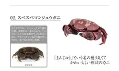 いきもの大図鑑　かに02