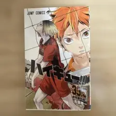 ハイキュー!! 33.5巻　音駒番外編!!
