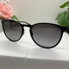Ray-Ban レイバン　サングラス　RB3539