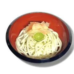 【実物大】食品サンプル うどん ドッキリ フェイク 飲食店 ディスプレイ