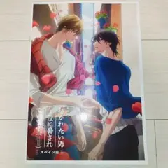 抱かれたい男1位に脅されています。スペイン編 映画 パンフレット