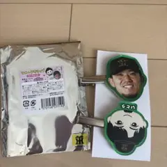 阪神タイガース　シークレット　ラメヘアクリップ　伊藤将司