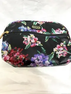 レイクアルスターのビニールポーチ