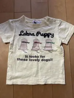 ラブラドールリトリーバー　Tシャツイエロー90cm
