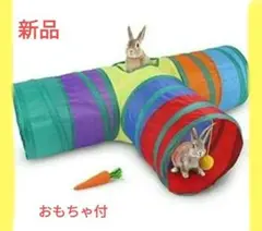 Item thumbnail for item fbf74dcd-279f-4c03-8d36-f2088342e70f