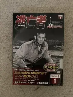 デビッド・ジャンセンの逃亡者