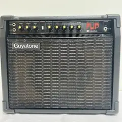 2025年最新】guyatone gaの人気アイテム - メルカリ