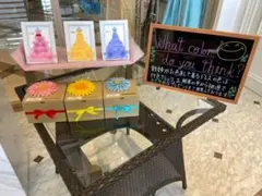 カラードレス　色当てクイズ　投票箱【必ず説明をお読みください】