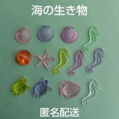 海の生き物 プラスチック 13点セット