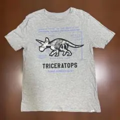 GAP トリケラトプス Tシャツ XXL