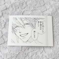 桜蘭高校ホスト部 ぱしゃこれ 19
