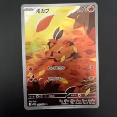 ポカブAR