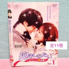 「抱きしめたい ～ロマンスが必要～」DVD 全11巻完結セット 韓国ドラマ