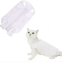 Item thumbnail for item ef094e4f-3e09-4db3-a10b-165b52befee8