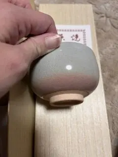 Item thumbnail for item 7945ae5a-3ab5-4546-a55c-610403065a60