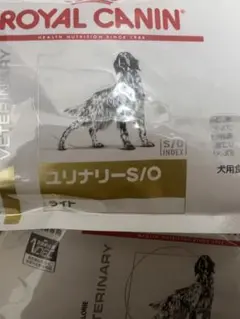 Item thumbnail for item aaab69c5-4e77-4637-ab54-c4f21c77b623