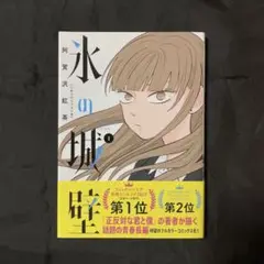 氷の城壁 1