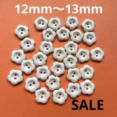 Item thumbnail for item a10219ee-4939-4270-82b2-5845f887b52f