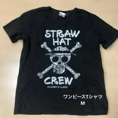 ワンピースTシャツ M