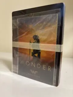 新品未開封 ワンダーウーマン スチールブック 特典映像付き
