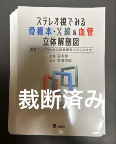 ステレオ視でみる骨標本・X線&血管立体解剖図 【裁断済】 - メルカリ