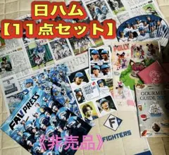 日ハム【11点セット】道新特別版・クリアファイル・ウチワ・バルーン等《非売品》