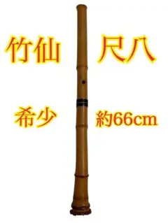 Item thumbnail for item 4a608297-6166-49e5-9b6b-46cf539098db