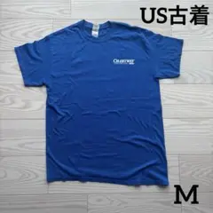 US古着 半袖Tシャツ ブルー アメリカ古着 両面プリント GILDAN M