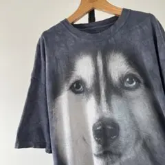 USA古着　ザ・マウンテン　ブルーアイズ・ドッグ　Tシャツ　アニマル　動物　XL
