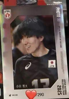 バレーボール男子日本代表2025トレーディングカード小川智大