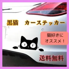 Item thumbnail for item 985cba45-5c6a-4641-b2af-a0e53c7c8eb6