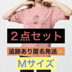 ユニクロ　ポップマート　ザ・モンスターズ　ラブブ　Tシャツ　M　2点セット