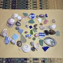 【502】シーグラス　鮑　サザエ　ウノアシ　マツバガイ　タカラガイ　おはじき
