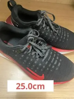 NIKE ナイキ インフィニティラン 4 INFINITYRUN 25.0cm