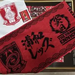 浦和レッズ　マッチデーカード　ポスター　タオル