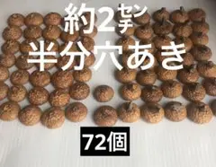 北海道　レッドオーク　どんぐり帽子　約2㌢　半分穴あき　72個　下処理済み