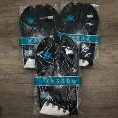 Item thumbnail for item 605679ef-a39f-4d2e-a04a-6316ee558071