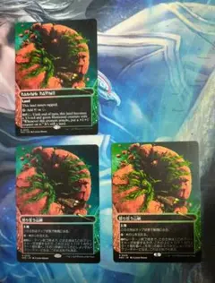 MTG 怒り狂う山峡/Raging Ravine EOS ショーケース 3枚