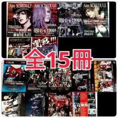 【Ains / ZEAL LINK 他】V系フリーマガジン×15冊セット