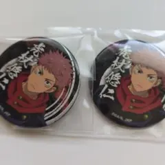 虎杖 缶バッジ セット