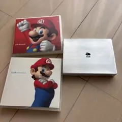 クラブニンテンドー　ニンテンドーDSタッチペン　ソフトのケース
