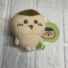 Item thumbnail for item 49d31312-4b35-4aca-97f6-4dc149efe3e9