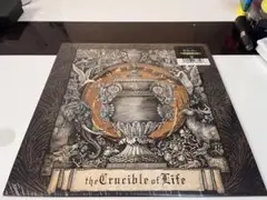 BRING ME THE HORIZON LP レコード ジャンク マガジン 2025年最新】bring me the horizon レコードの人気アイテム