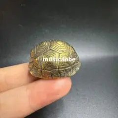 Item thumbnail for item 3b227da5-afff-4bf0-bfd0-7d259ee3a871