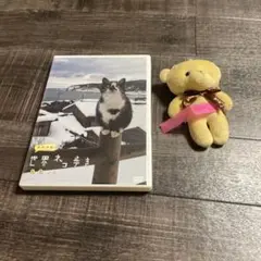 ⭐️⭐️⭐️⭐️世界ネコ歩き❤️DVD